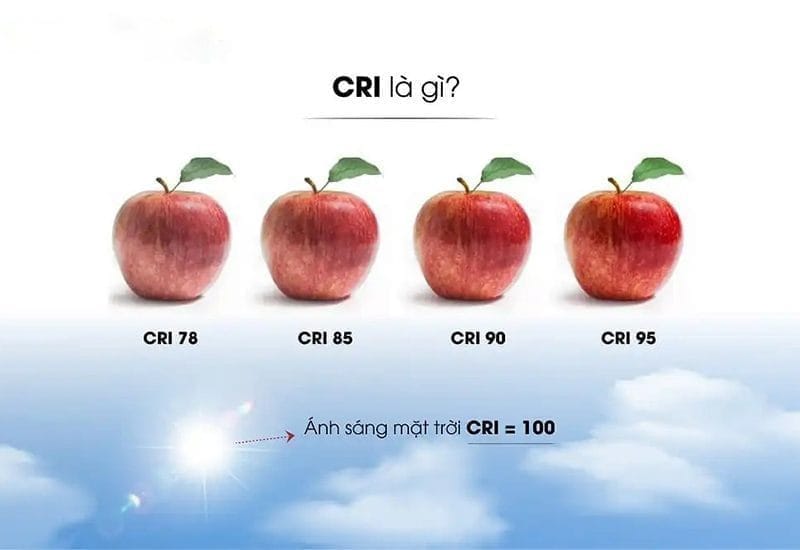 Đèn studio livestream chất lượng cao